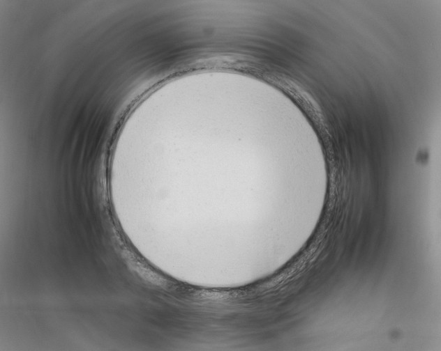X0000116880792201002021147