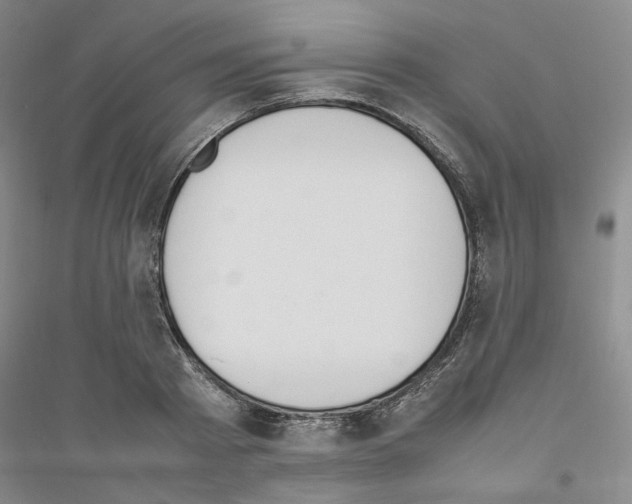 X0000116880793201002021147