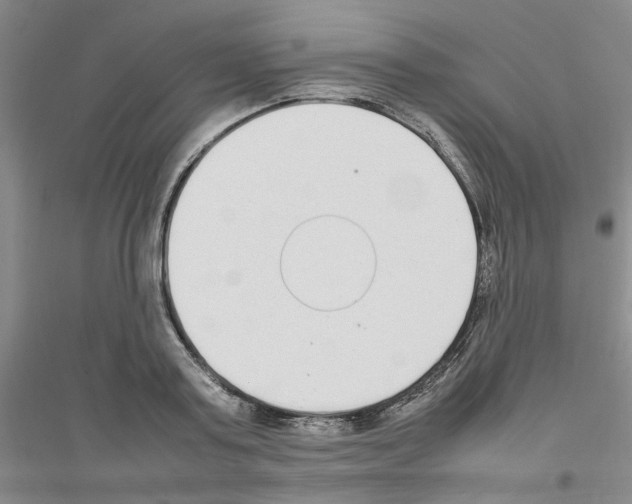 X0000116880795201002021147