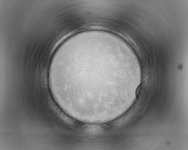 X0000116880798201002021147