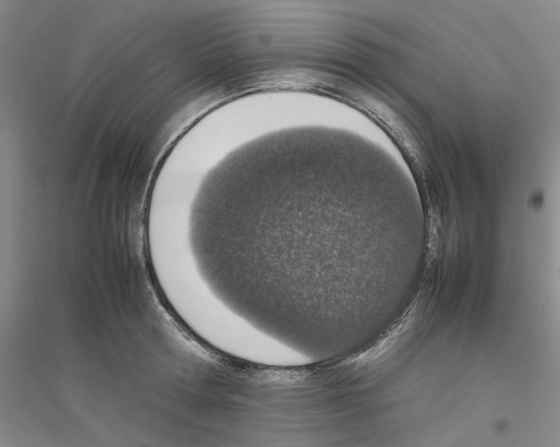 X0000116880802201002021147