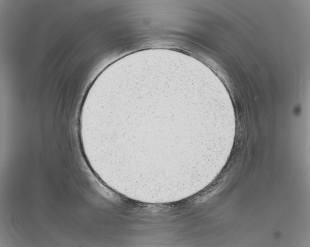 X0000116880803201002021147
