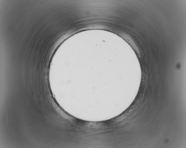 X0000116880805201002021147