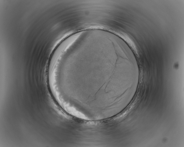 X0000116880806201002021147