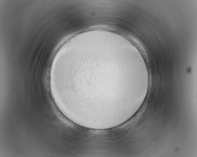 X0000116880808201002021147