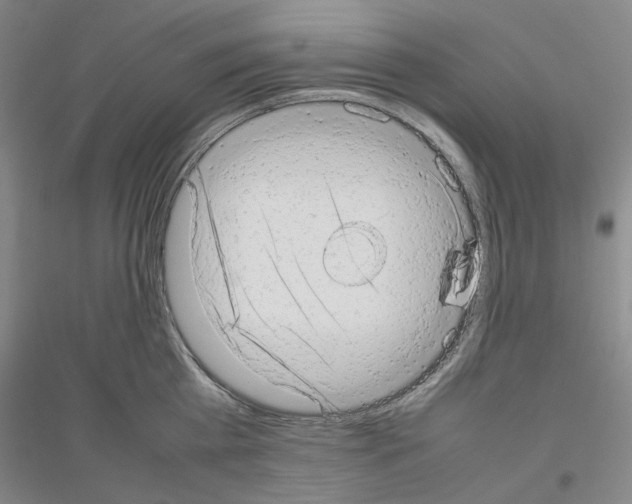 X0000116880809201002021147
