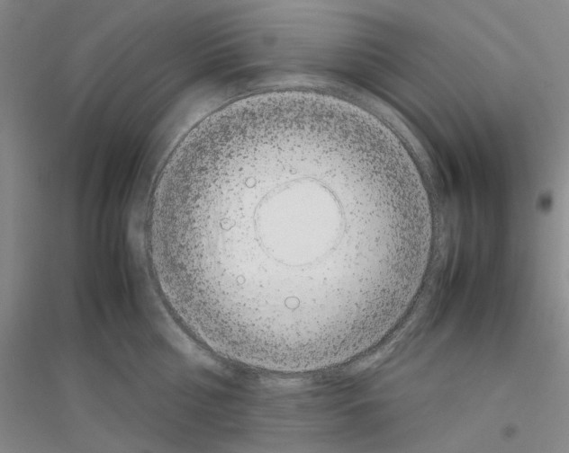 X0000116880810201002021147