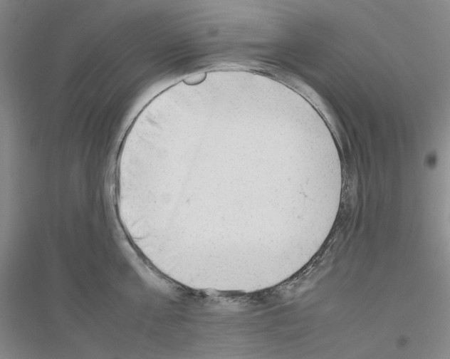 X0000116880811201002021147
