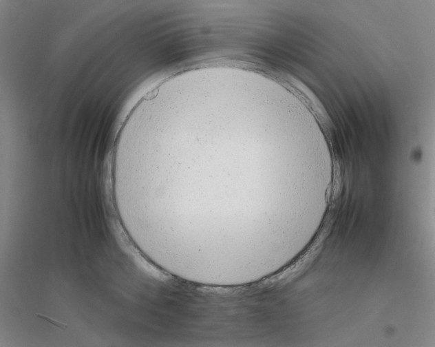 X0000116880812201002021147
