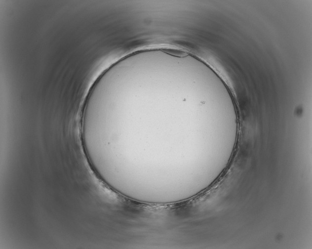 X0000116880813201002021147