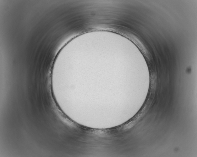 X0000116880814201002021147