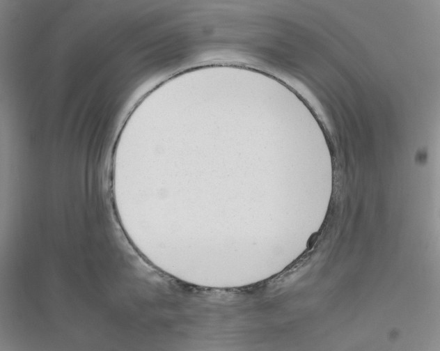 X0000116880815201002021147