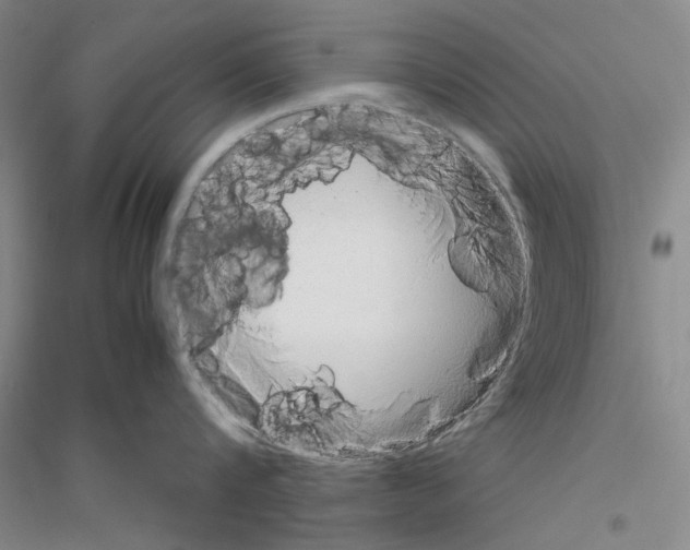 X0000116880816201002021147