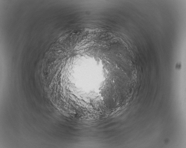 X0000116880817201002021146