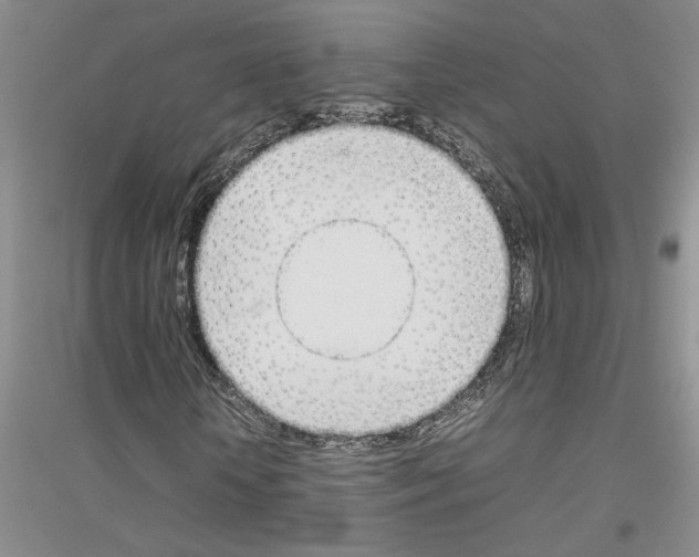 X0000116880818201002021146
