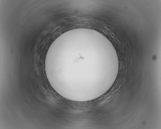 X0000116880820201002021146