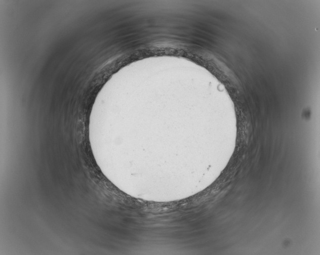 X0000116880821201002021146