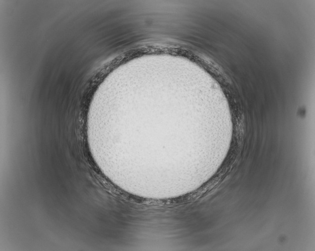 X0000116880822201002021146