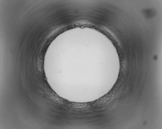X0000116880823201002021146