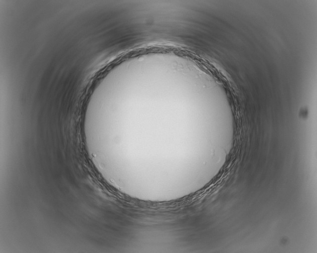 X0000116880824201002021146