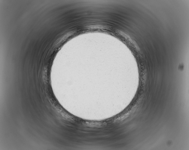 X0000116880825201002021146