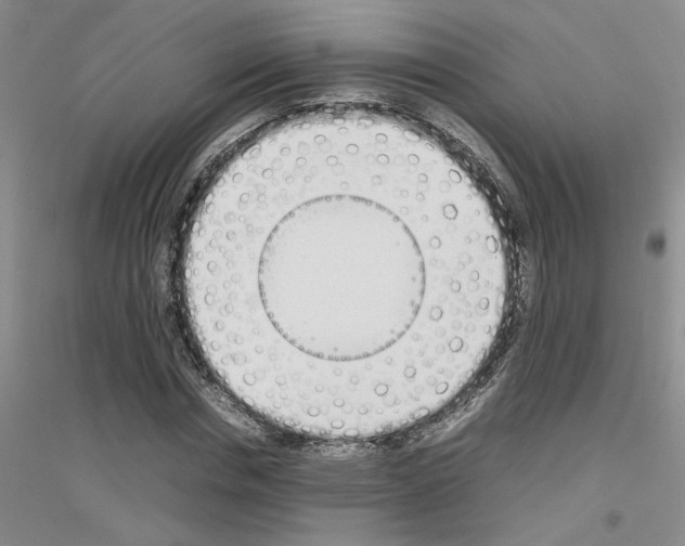X0000116880826201002021146