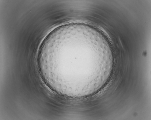 X0000116880828201002021146