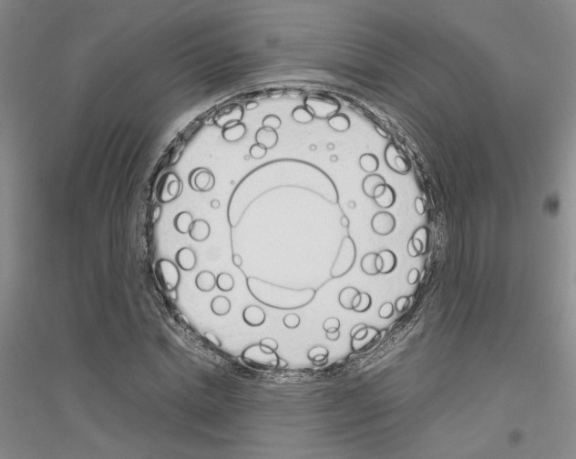 X0000116880830201002021146