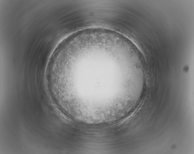 X0000116880832201002021146