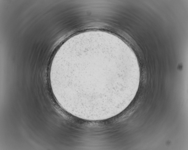 X0000116880834201002021146
