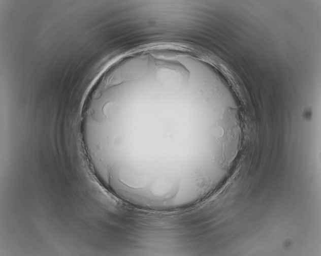 X0000116880836201002021146