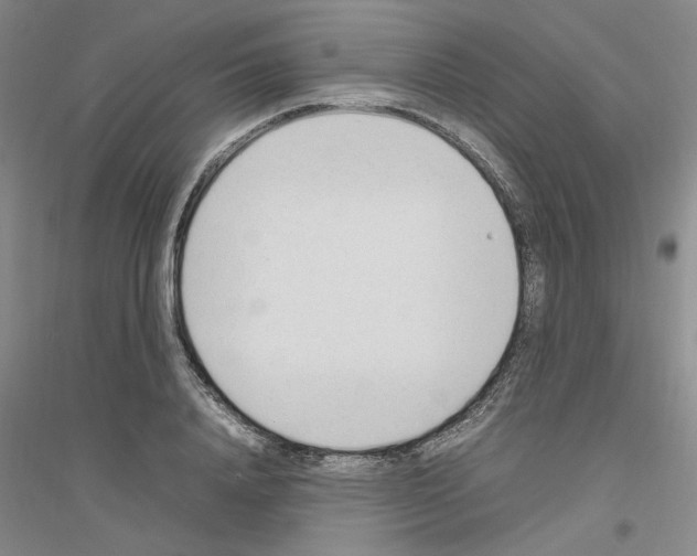 X0000116880840201002021146