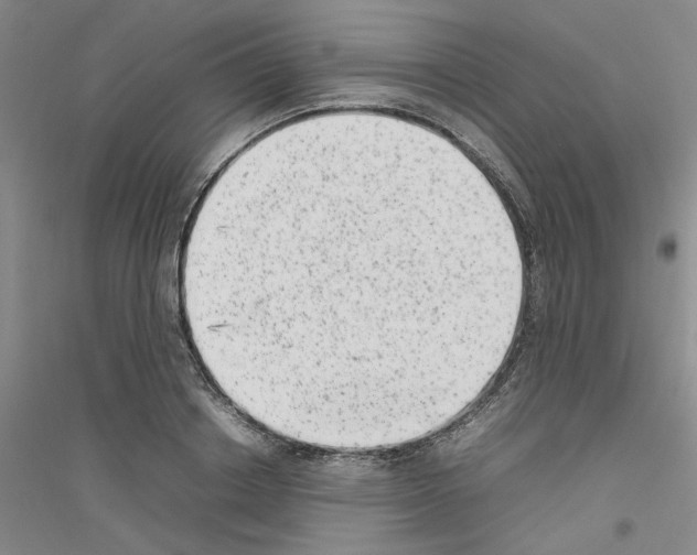 X0000116880842201002021146