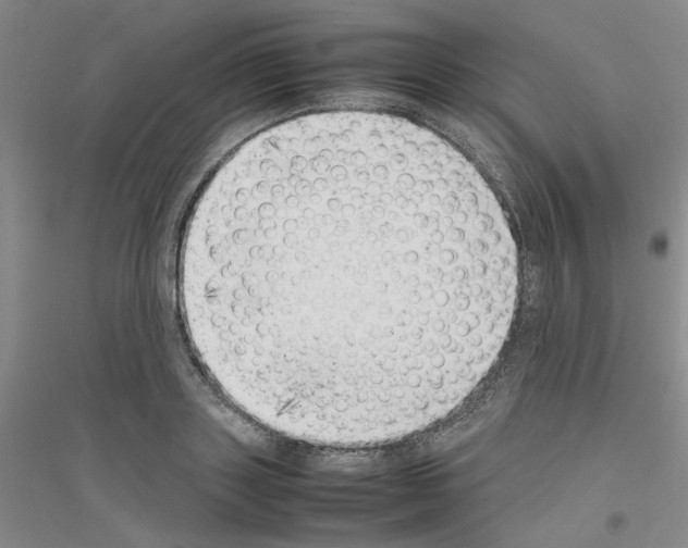X0000116880843201002021146