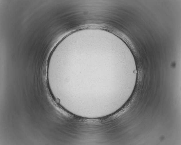 X0000116880844201002021146