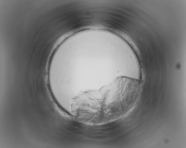 X0000116880845201002021146