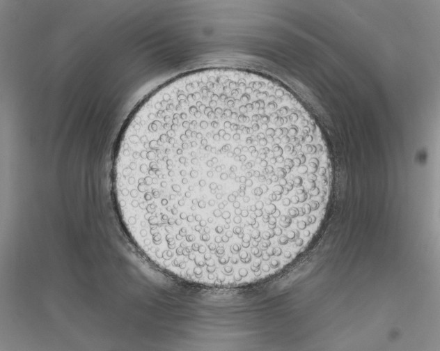 X0000116880846201002021146