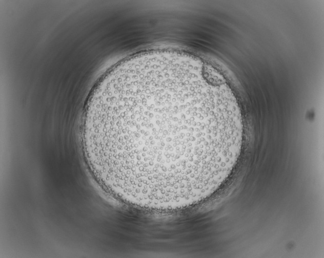 X0000116880847201002021146