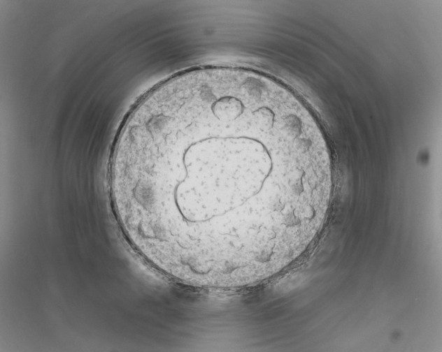 X0000116880848201002021146
