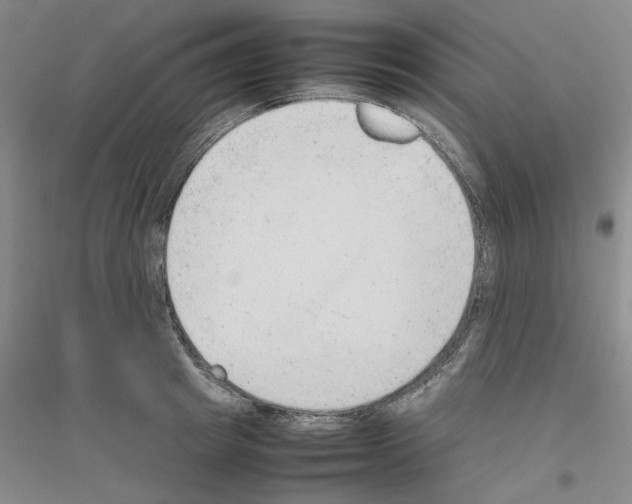 X0000116880849201002021146