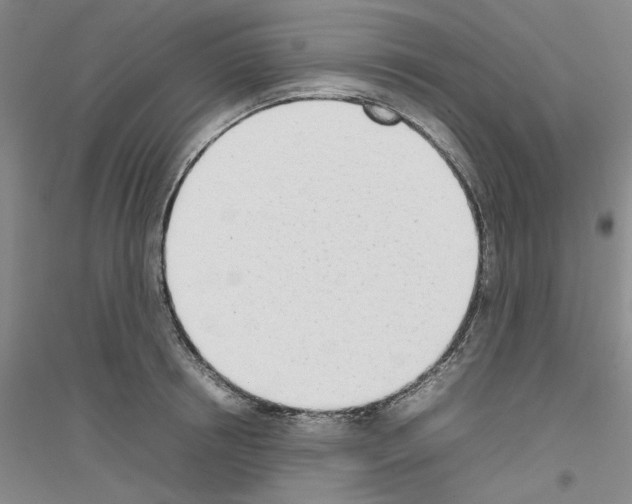 X0000116880850201002021146