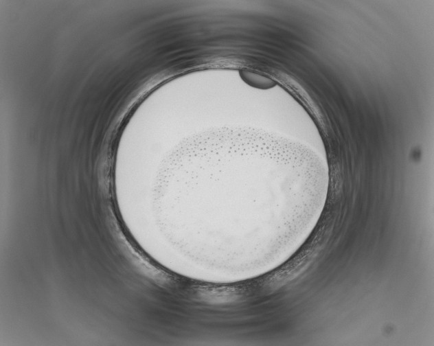 X0000116880851201002021146