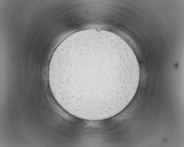 X0000116880852201002021147