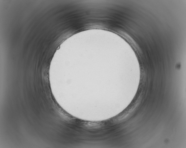 X0000116880857201002021147