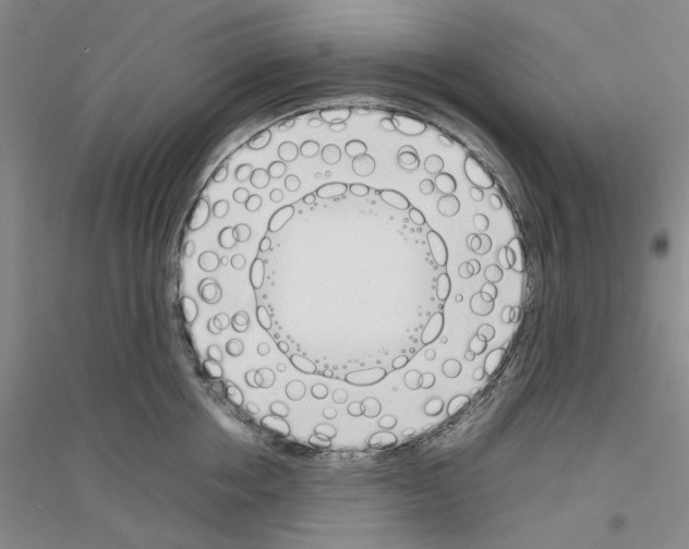 X0000116880858201002021147