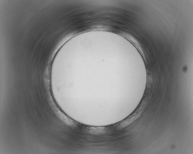 X0000116880859201002021147