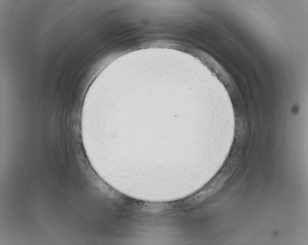 X0000116880860201002021147