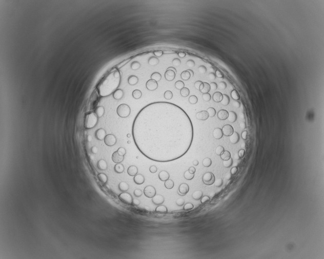 X0000116880862201002021147