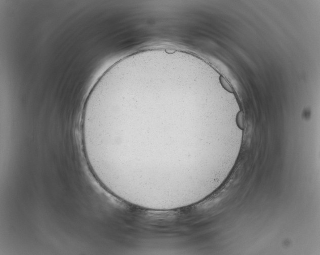 X0000116880863201002021147