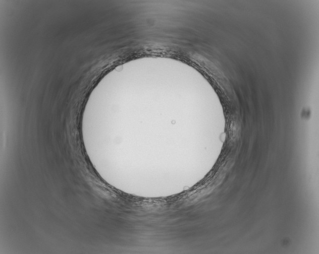 X0000116880865201002021146